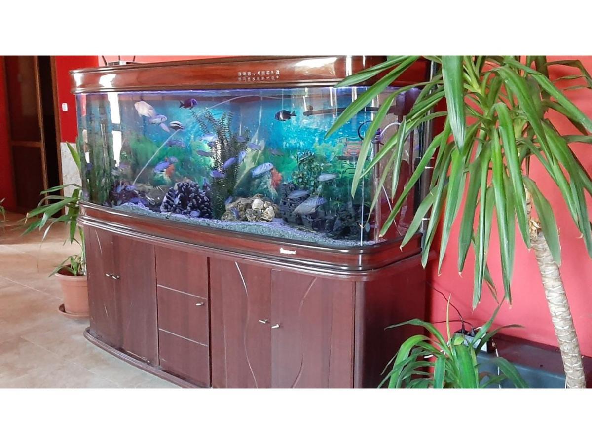 Family Hotel Favourite Obzor Luaran gambar